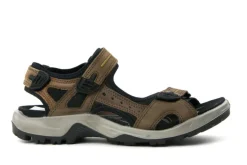Sandalen | Sandalen En Slippers^Ecco Sandalen Offroad Espresso
