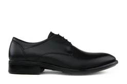 Veterschoenen | Nette Schoenen^Ecco Veter Citytray Black Santiago