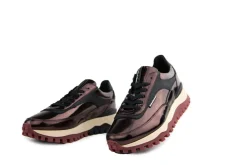 Sneakers^Floris van Bommel Grommi 01.05 D.Brown