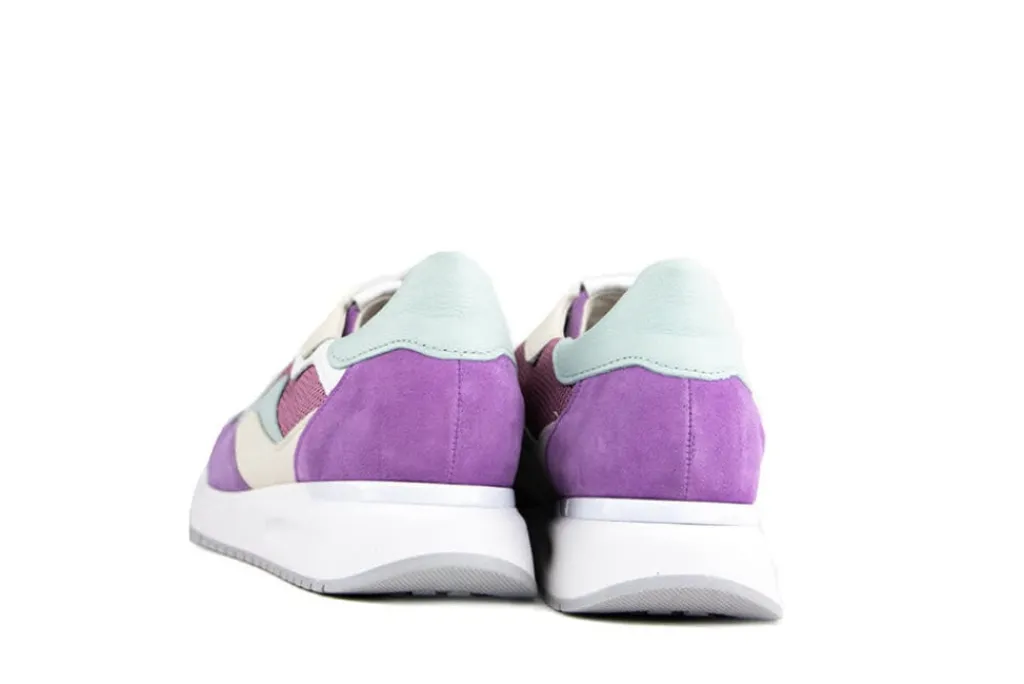 Sneakers^Gabor Sneaker Violet Creme Mint