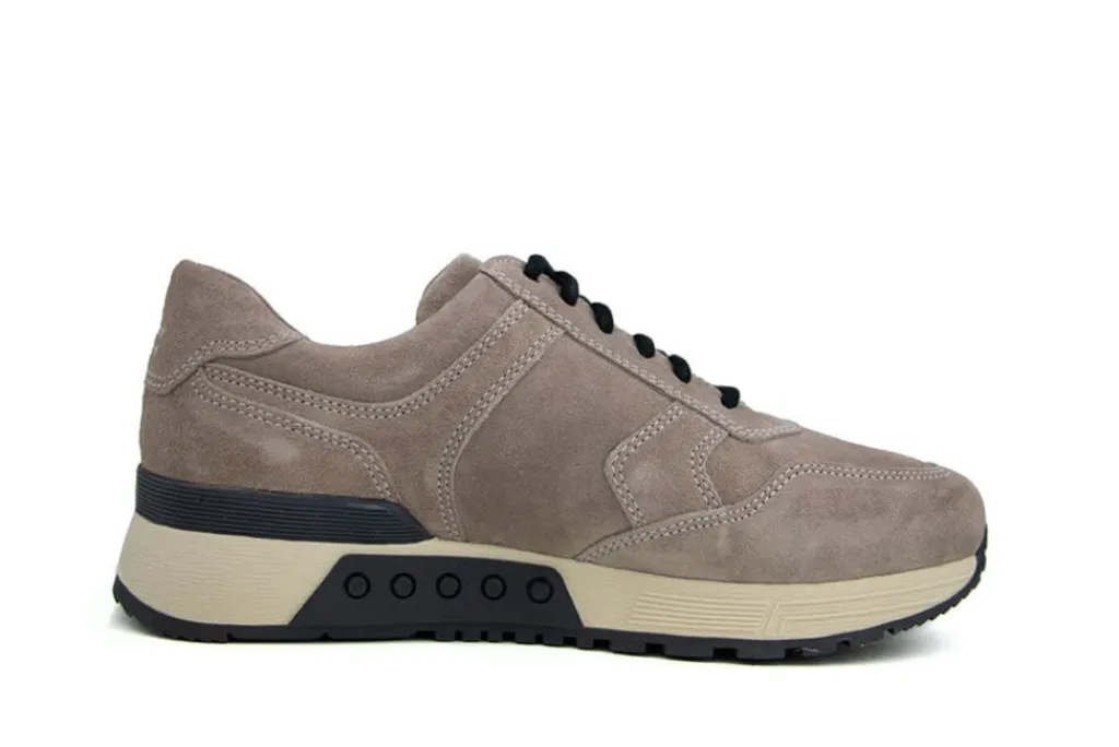 Sneakers^Greve Sneaker Haarlem K Roccia Suede