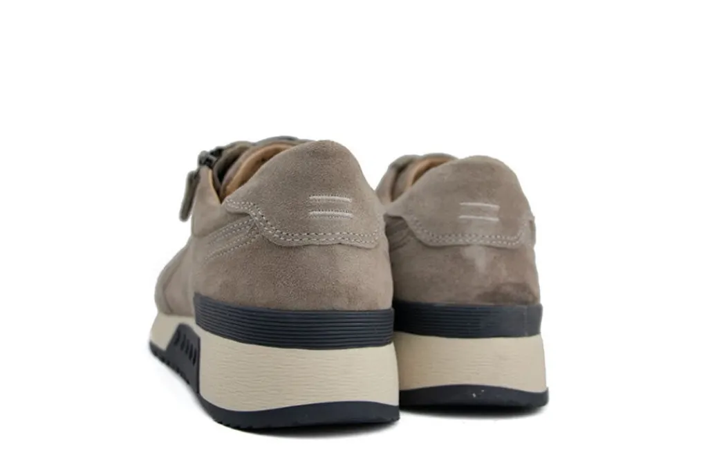 Sneakers^Greve Sneaker Haarlem K Roccia Suede
