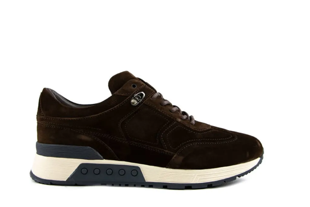 Sneakers^Greve Sneakers Bruin Haarlem K Mustang Talca