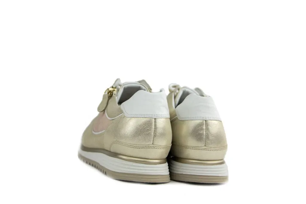 Sneakers | Wijdte H^Hassia Sneaker Platin Gloss