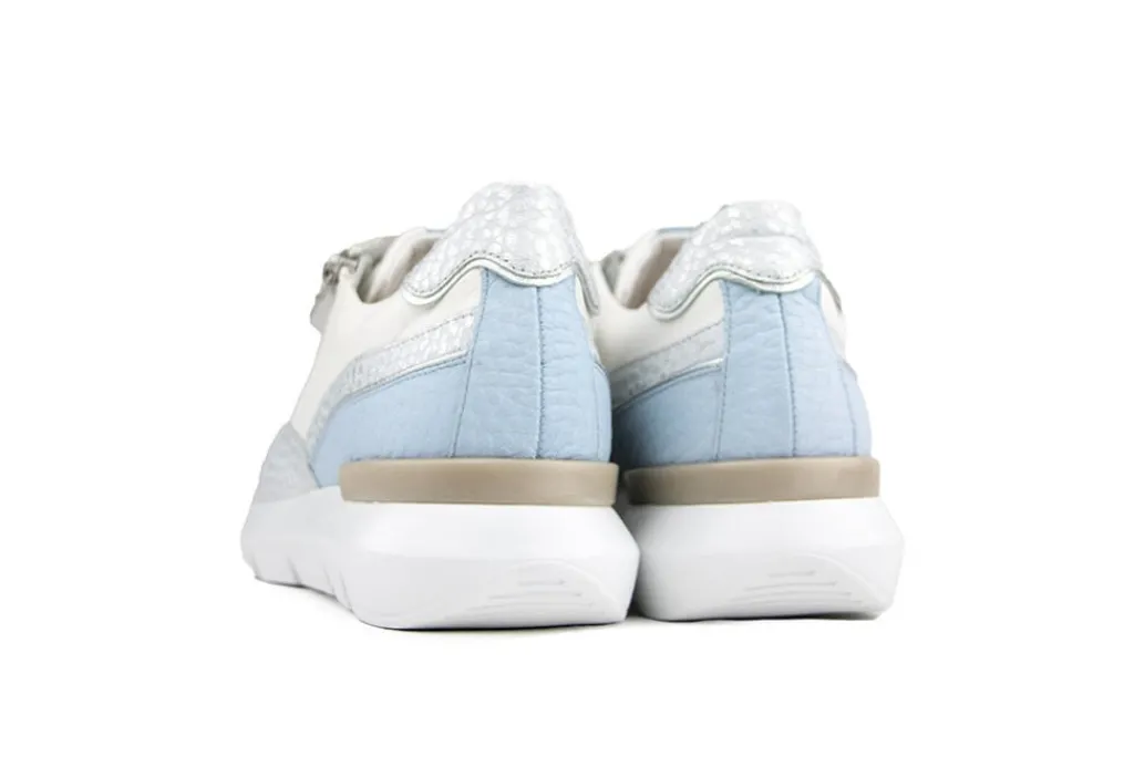Sneakers^Hassia Sneaker Silver Sky Shinygrain