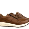 Sneakers^Solidus Sneaker Kai Rake Cognac