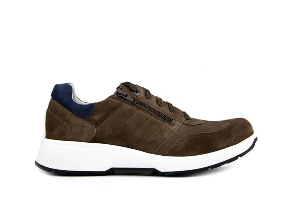 Sneakers^Xsensible Sneaker Dublin Nutmeg