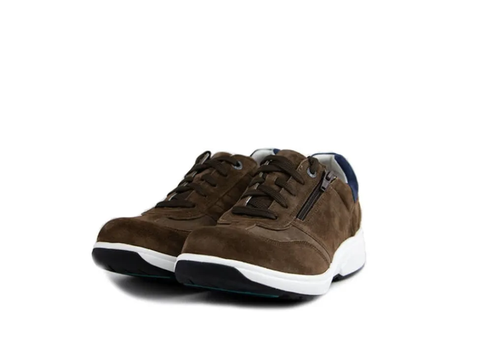 Sneakers^Xsensible Sneaker Dublin Nutmeg