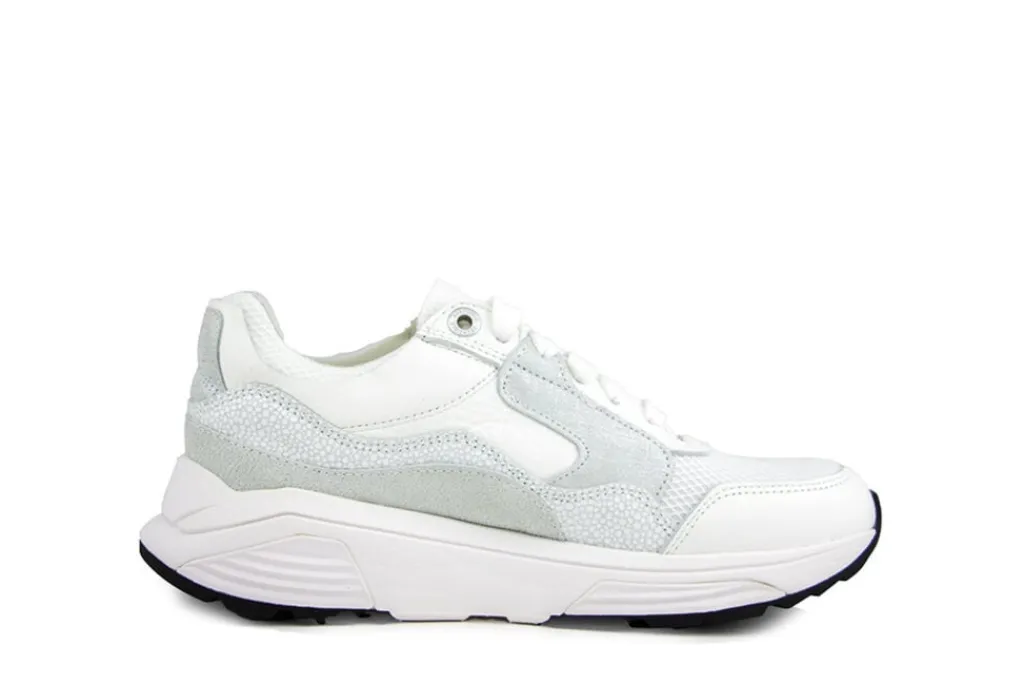Sneakers^Xsensible Sneaker Golden Gate Lady White Combi